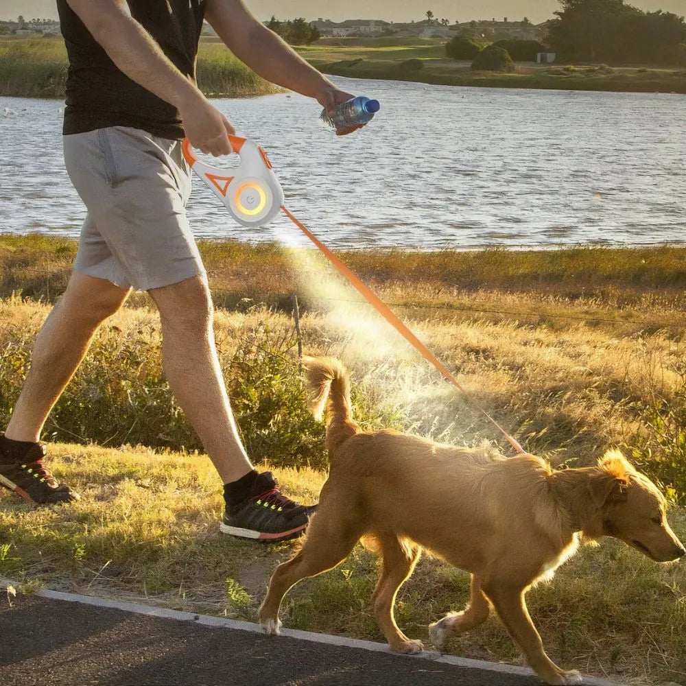 Correa Retráctil Para Perros: Seguridad y Libertad en Cada Paseo
