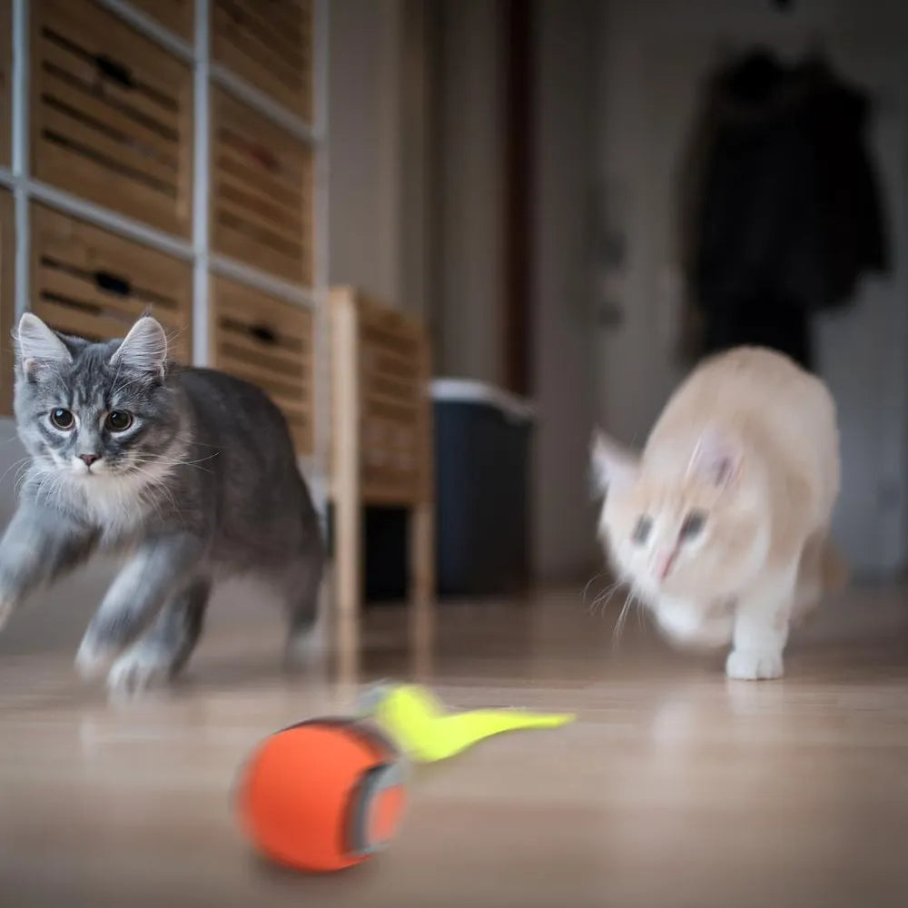 Pelota Rodante Interactiva Para Gatos: Diversión Interminable e Inteligente