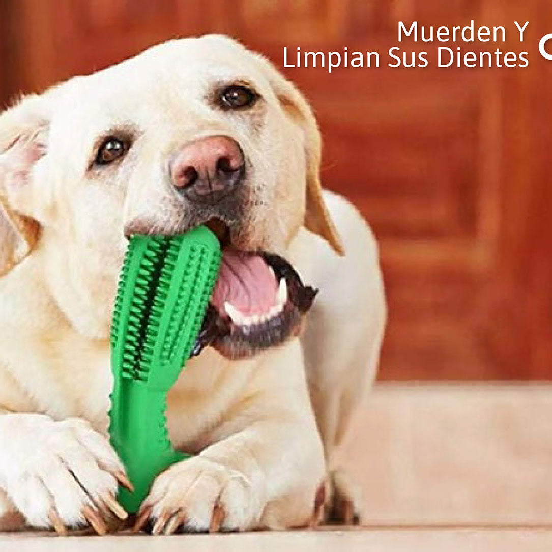 Cepillo Dental Canino: Limpieza y Diversión con Goma Natural