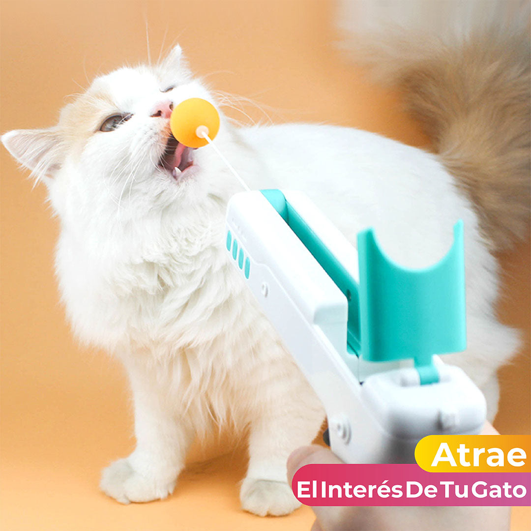 Juguete Interactivo Para Gato