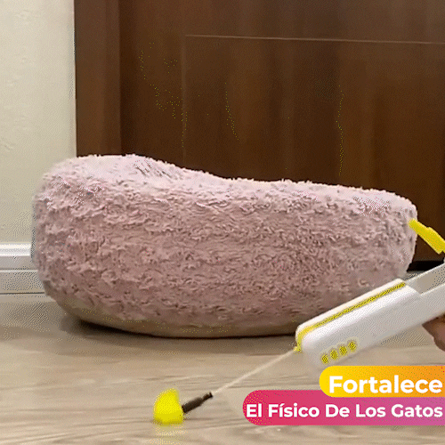 Juguete Interactivo Para Gato