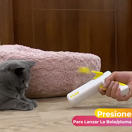 Juguete Interactivo Para Gato