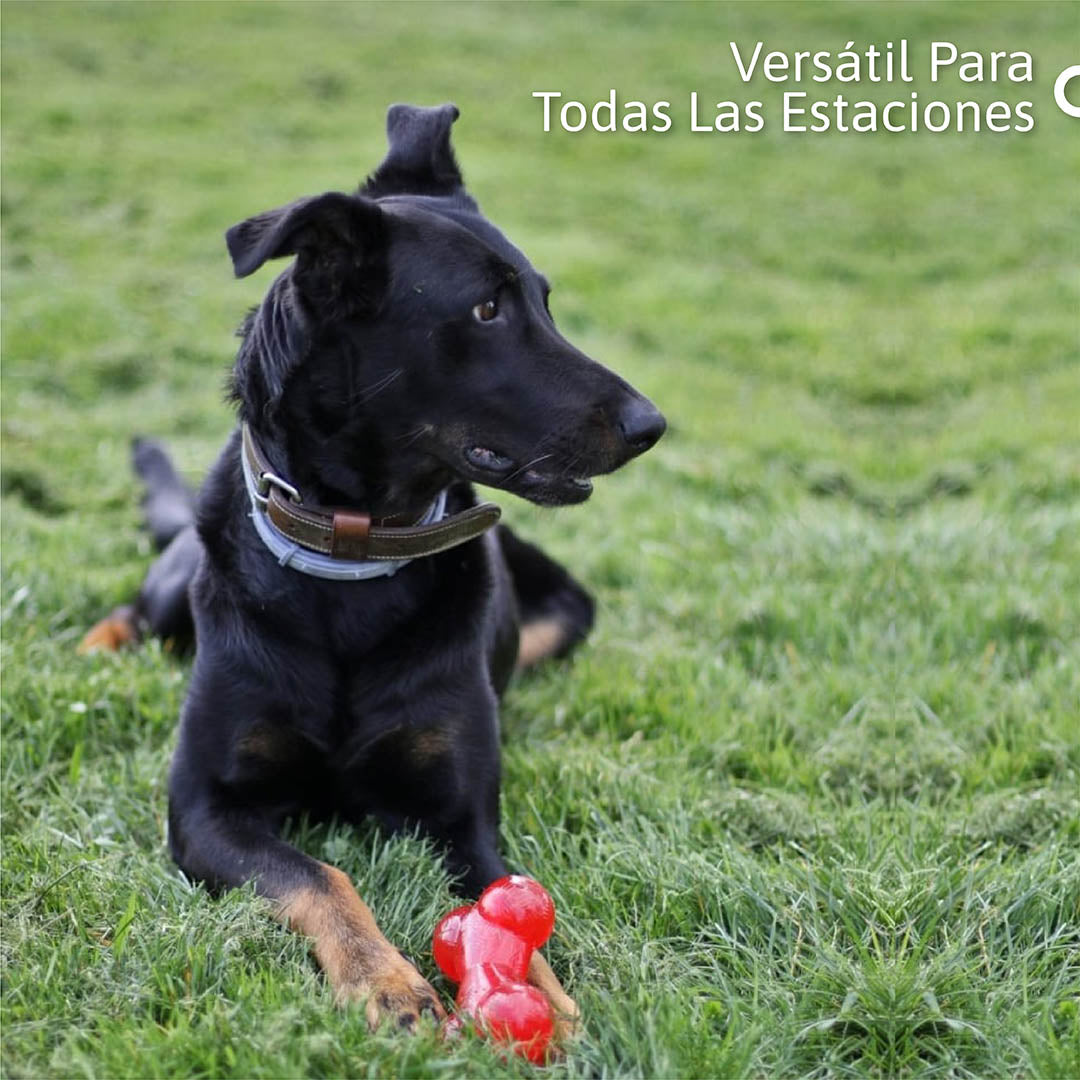 Hueso de Goma Masticable para Perros
