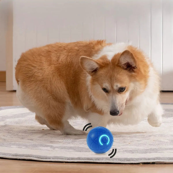 Pelota Interactiva Para Mascotas