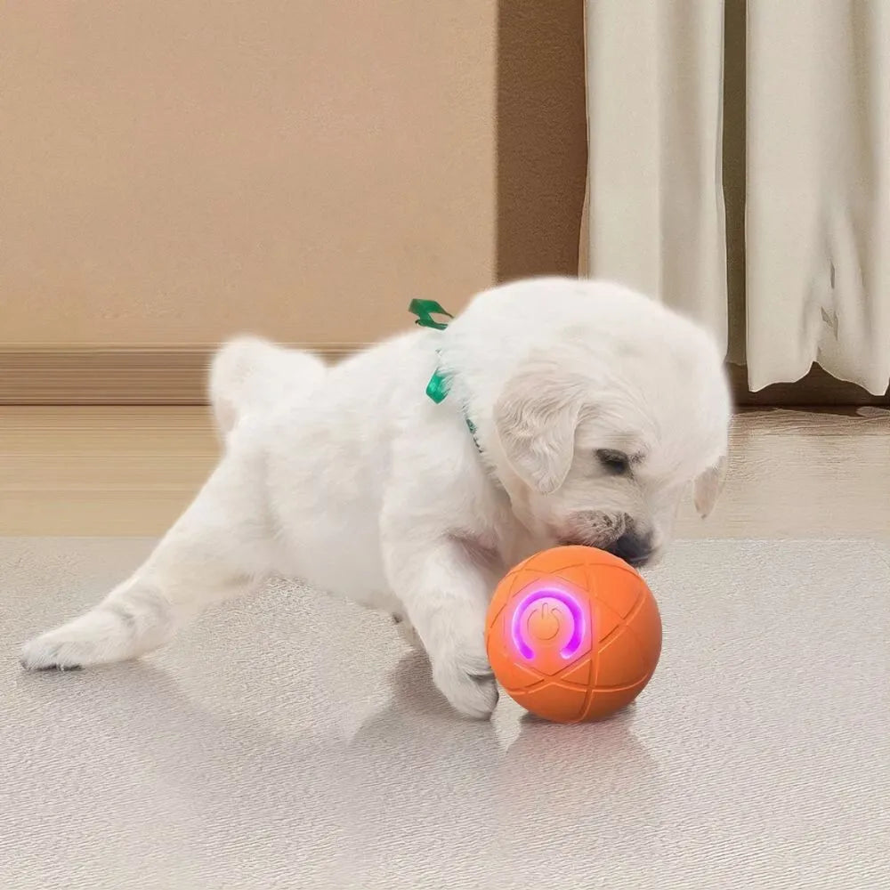 Pelota Interactiva Para Mascotas