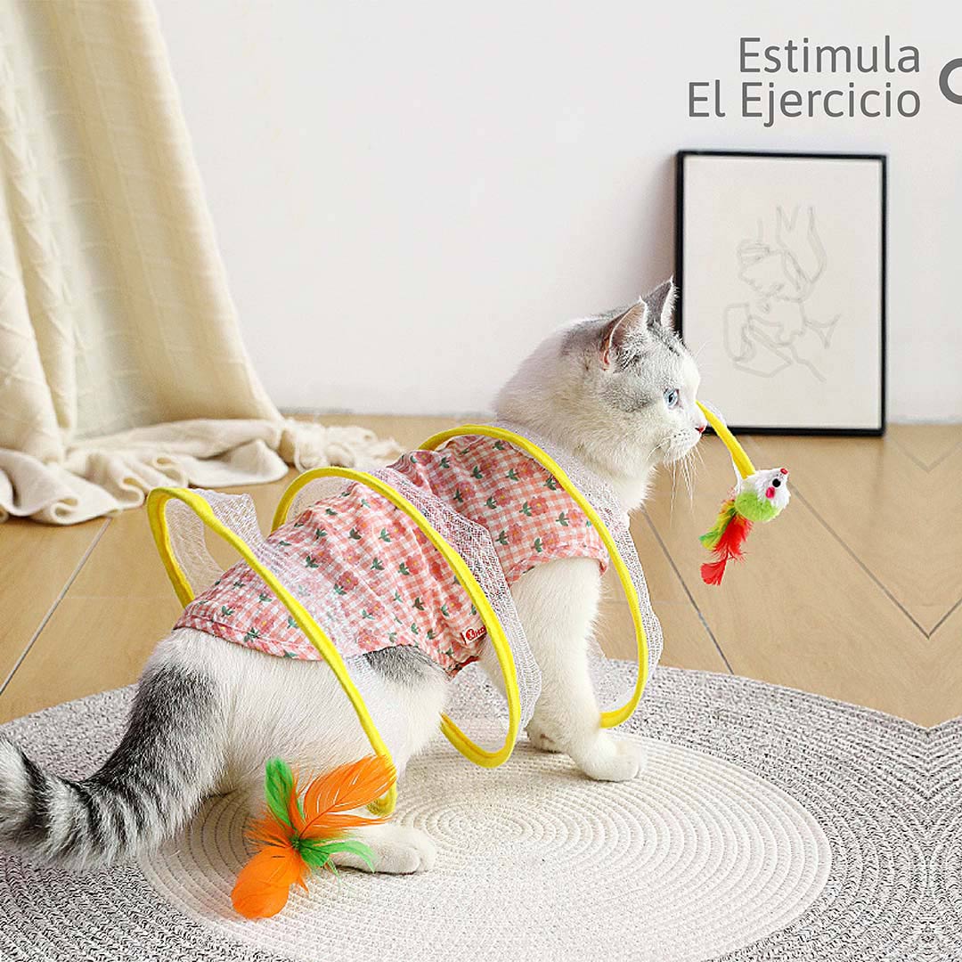Túnel para Gatos Interactivo