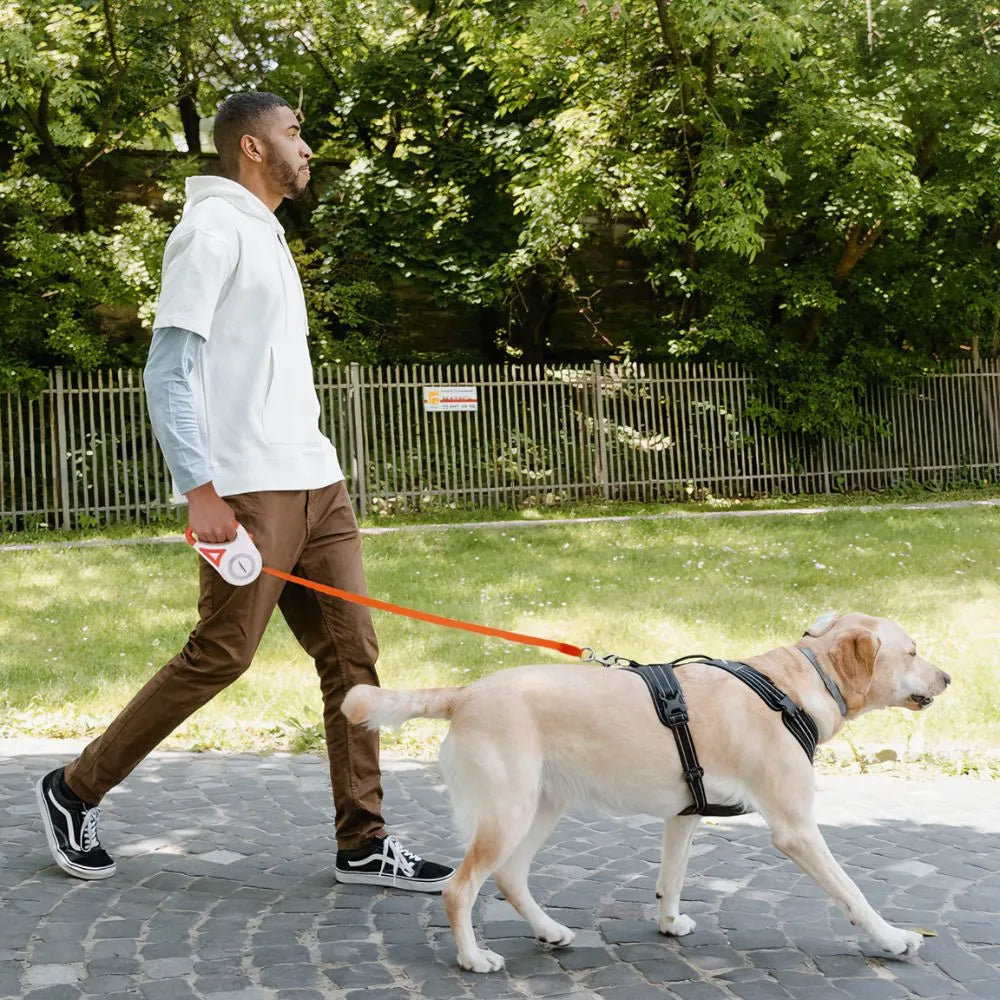 Correa Retráctil Para Perros: Seguridad y Libertad en Cada Paseo
