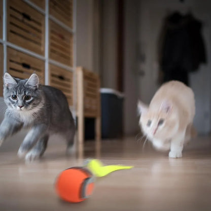Pelota Rodante Interactiva Para Gatos: Diversión Interminable e Inteligente
