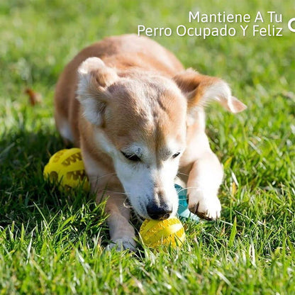 Bola de Golosinas para Perros: Diversión y Salud Dental