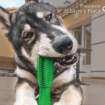Cepillo Dental Canino: Limpieza y Diversión con Goma Natural