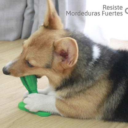 Cepillo Dental Canino: Limpieza y Diversión con Goma Natural