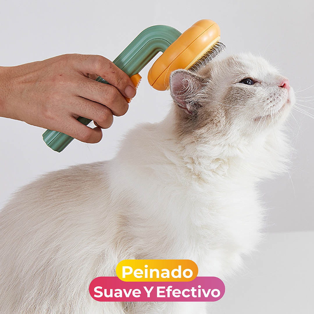 Cepillo Para Mascota En Forma De Calabaza