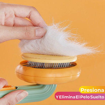 Cepillo Para Mascota En Forma De Calabaza