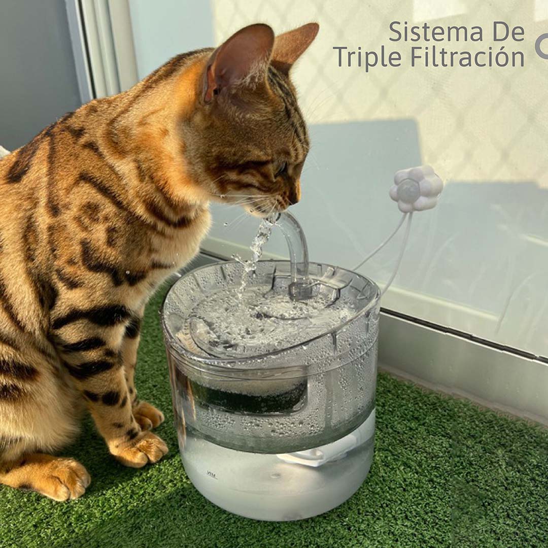 Fuente de Agua Automática para Mascotas: Hidratación Saludable y Silenciosa