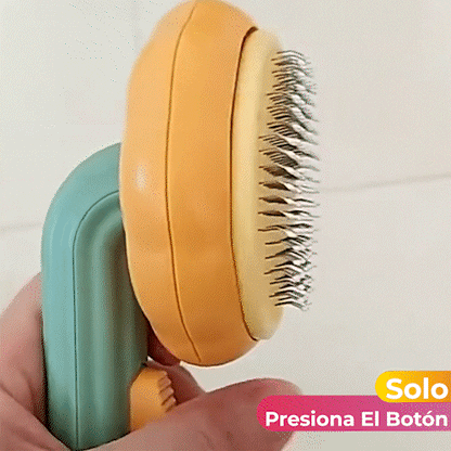 Cepillo Para Mascota En Forma De Calabaza