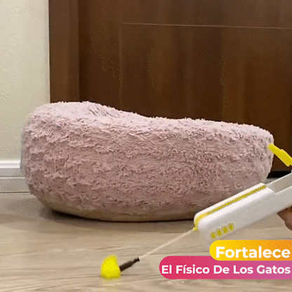 Juguete Interactivo Para Gato