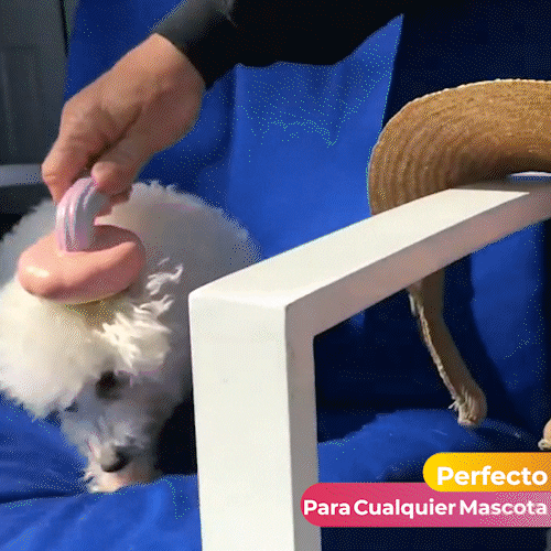 Cepillo Para Mascota En Forma De Calabaza