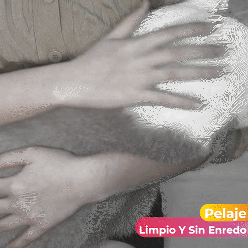 Cepillo Para Mascota En Forma De Calabaza