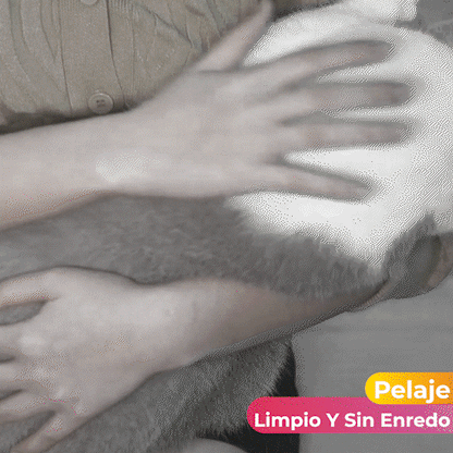 Cepillo Para Mascota En Forma De Calabaza