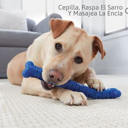 Hueso Dental Multifuncional para Perros: Limpieza y Juego