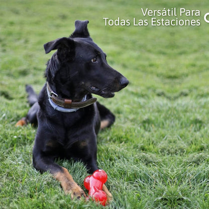 Hueso de Goma Masticable para Perros