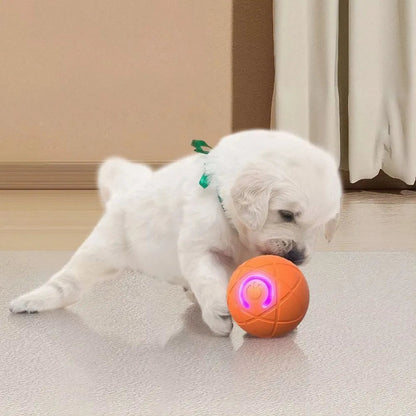 Pelota Interactiva Para Mascotas