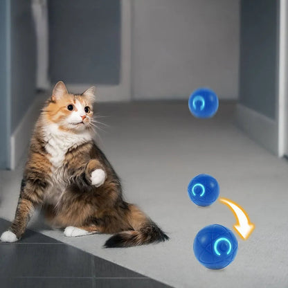 Pelota Interactiva Para Mascotas