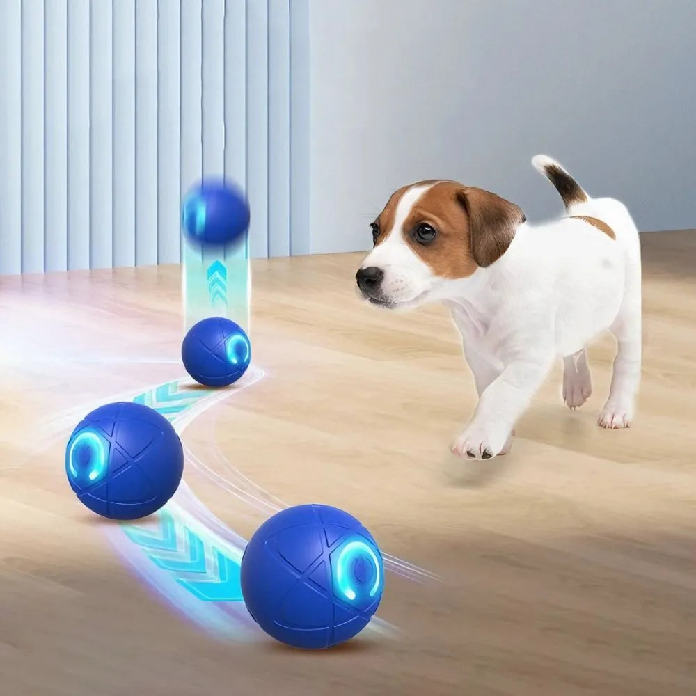 Pelota Interactiva Para Mascotas