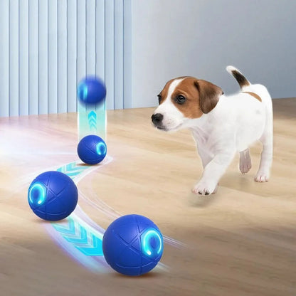 Pelota Interactiva Para Mascotas