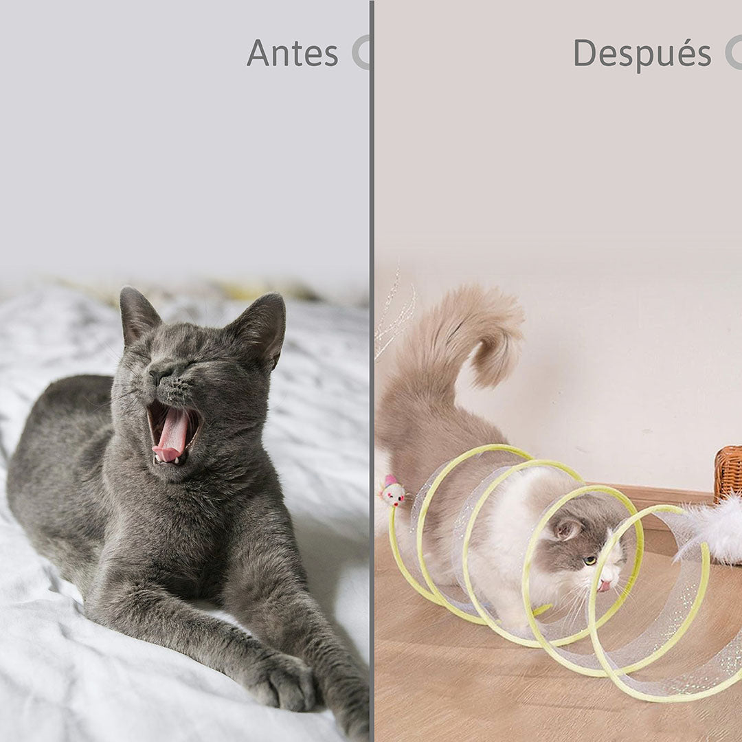 Túnel para Gatos Interactivo